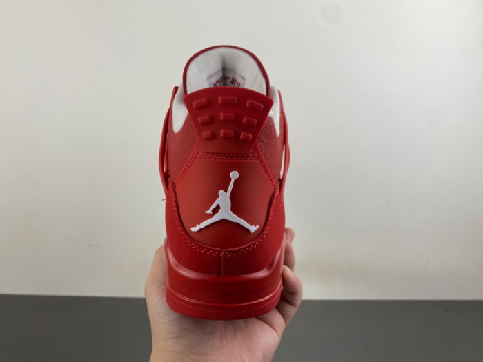 Air Jordan 4 Retro FV5029-600