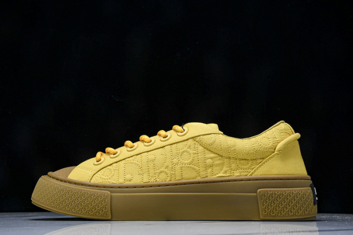 Dior B33 SNEAKER (EU38-46)