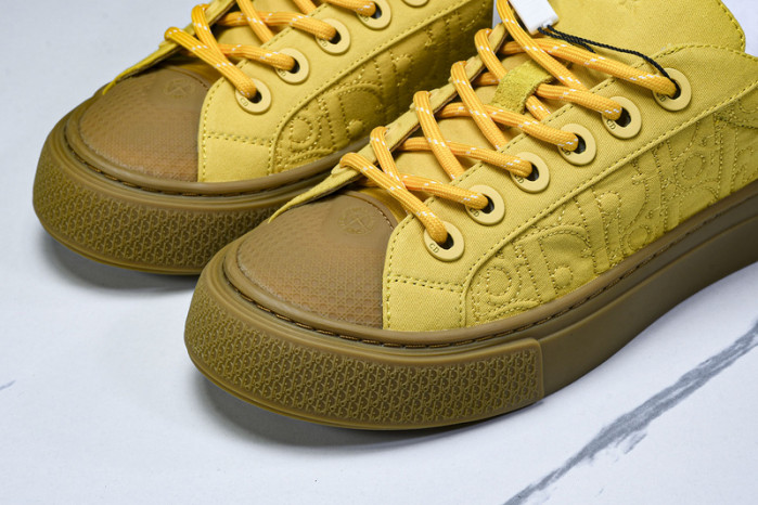 Dior B33 SNEAKER (EU38-46)