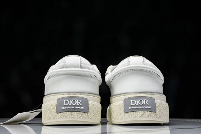 Dior B33 SNEAKER (EU38-46)