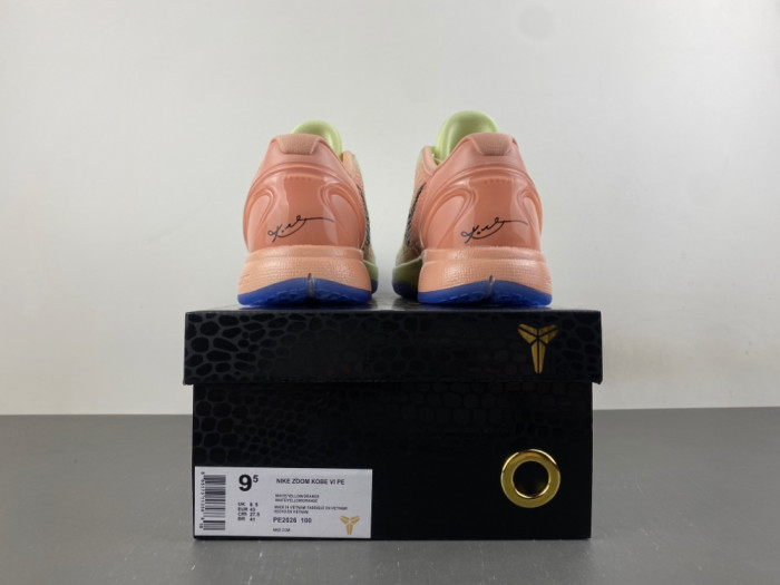 Nike Kobe 6 PE2026-100