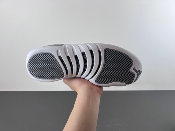 Air Jordan 12 Retro Stealth CT8013-015