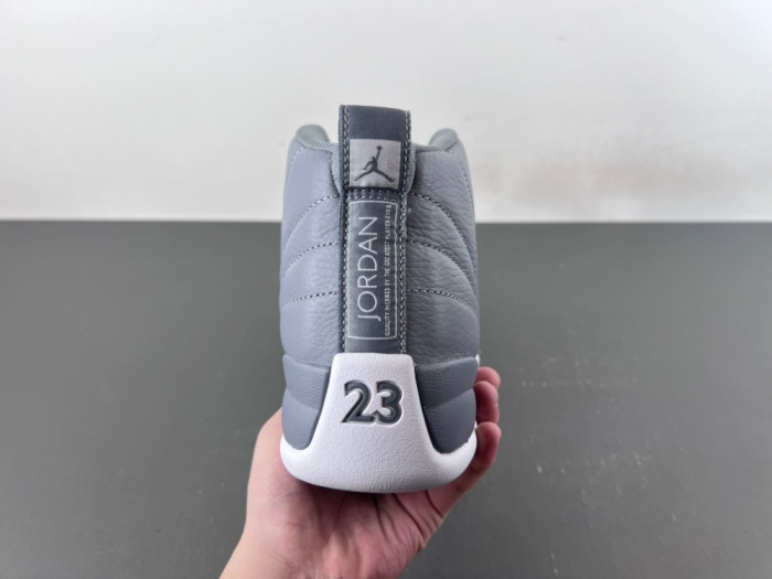 Air Jordan 12 Retro Stealth CT8013-015