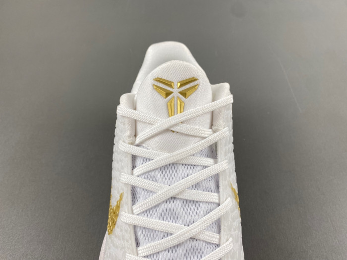 nike kobe 6 fv4921-608