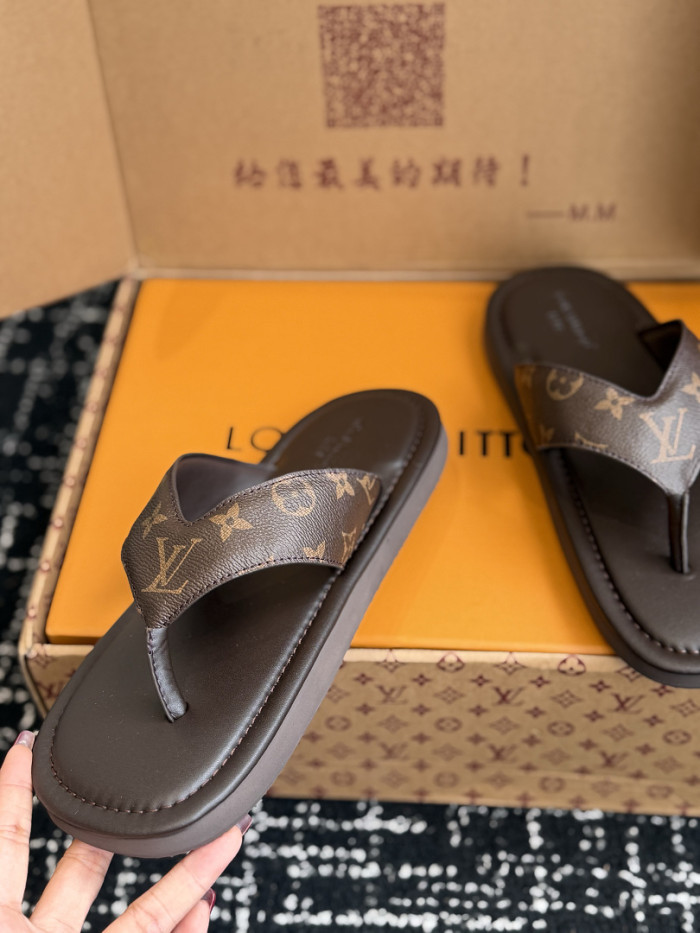 LV Slides