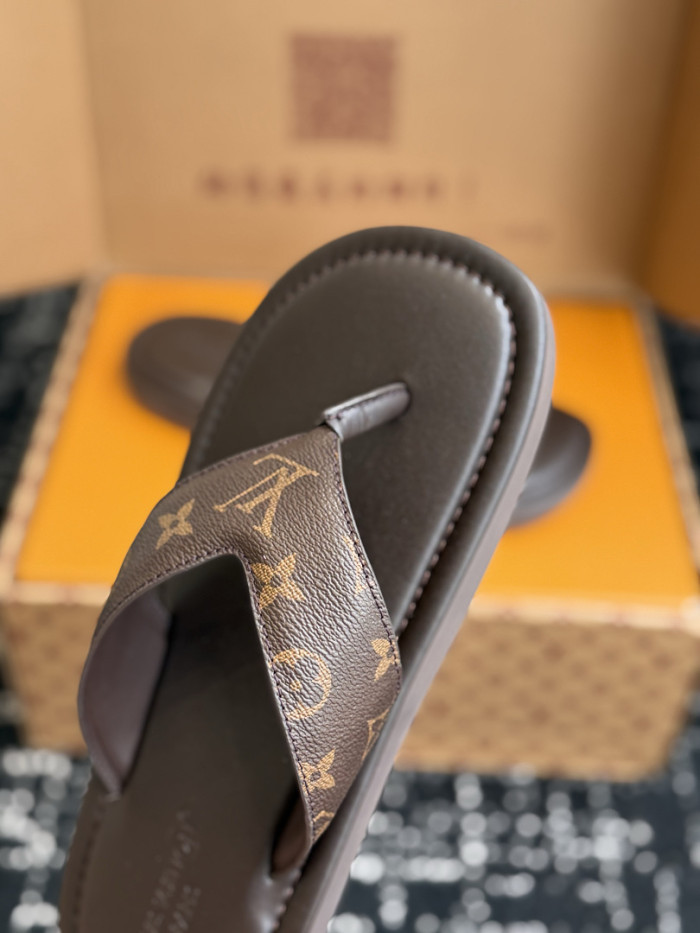 LV Slides