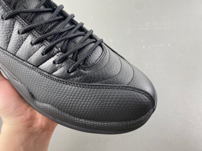Air Jordan 12 CT8013-010