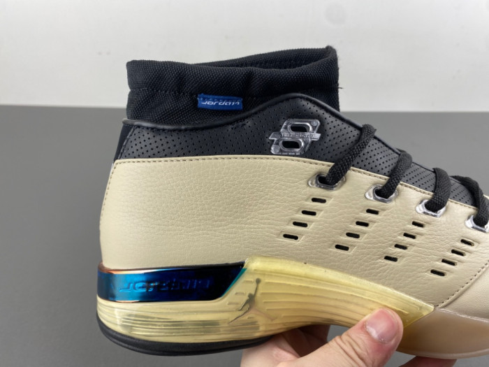 Jordan 17 Retro Low