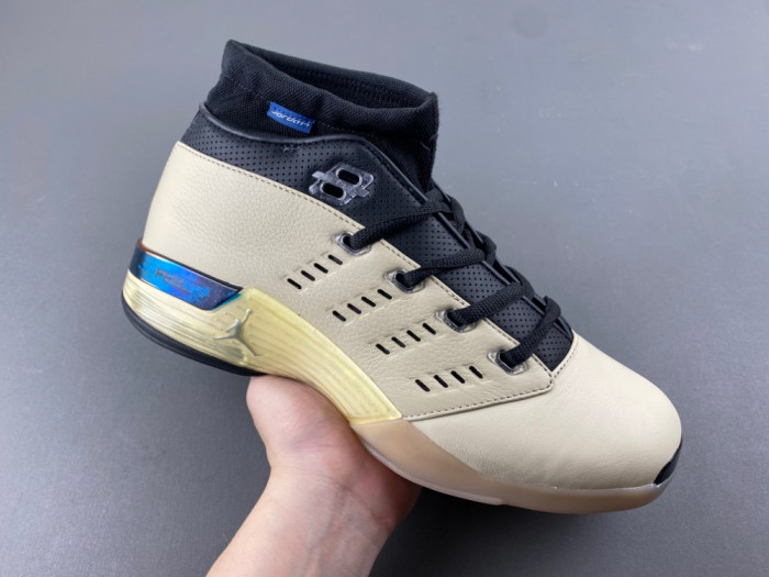 Jordan 17 Retro Low