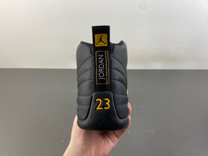 Air Jordan 12 Retro Black Taxi CT8013-071