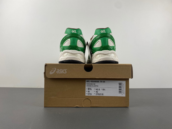 Asics Gel-Kahana Tr V4 "Green Silver"