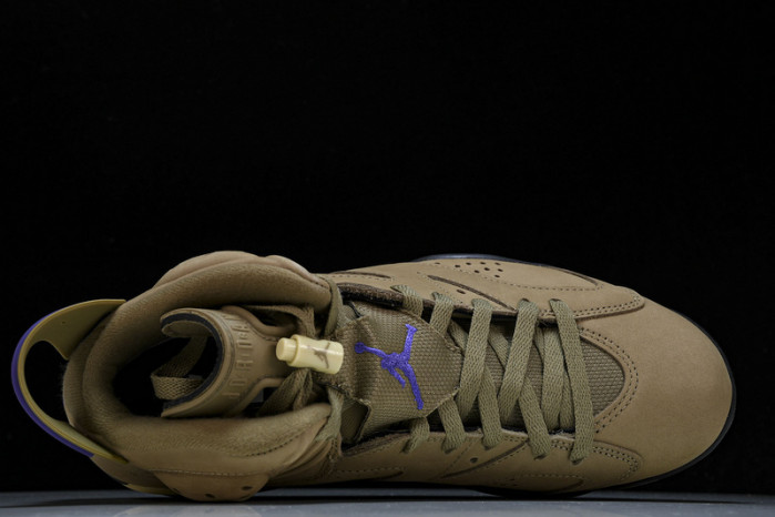 jordan 6 retro gore-tex brown kelp fd1643-300