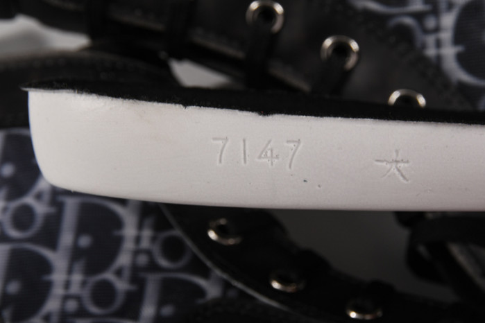 D*or b23 homme kaws low top sneaker