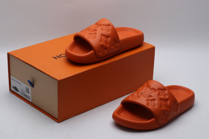 lv slides