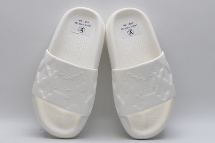 lv slides