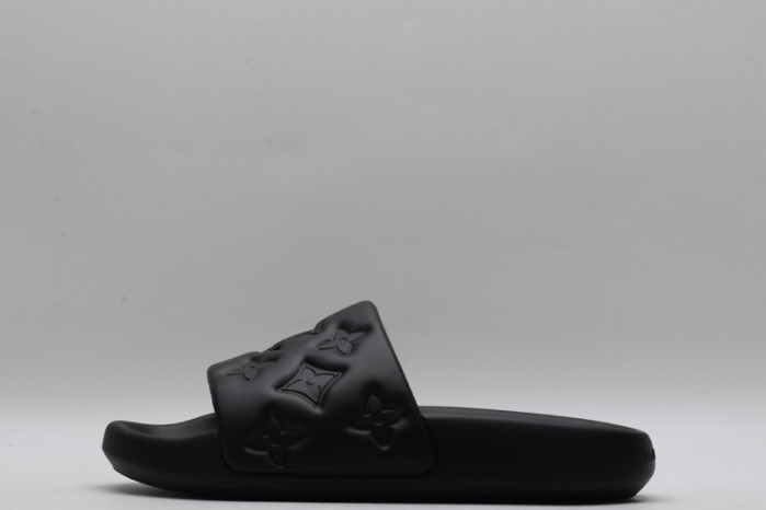 lv slides