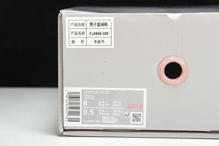 nike lebron 20 stocking stuffer fj4955-300