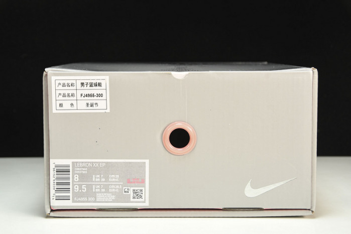 nike lebron 20 stocking stuffer fj4955-300