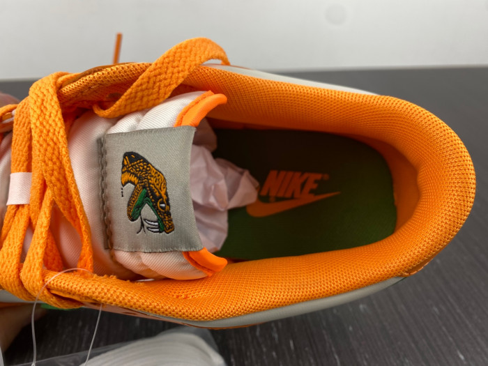 nike dunk low florida a&m university dr6188-800