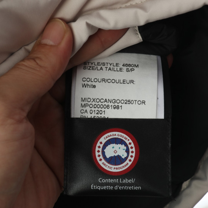 CANADA GOOSE 01